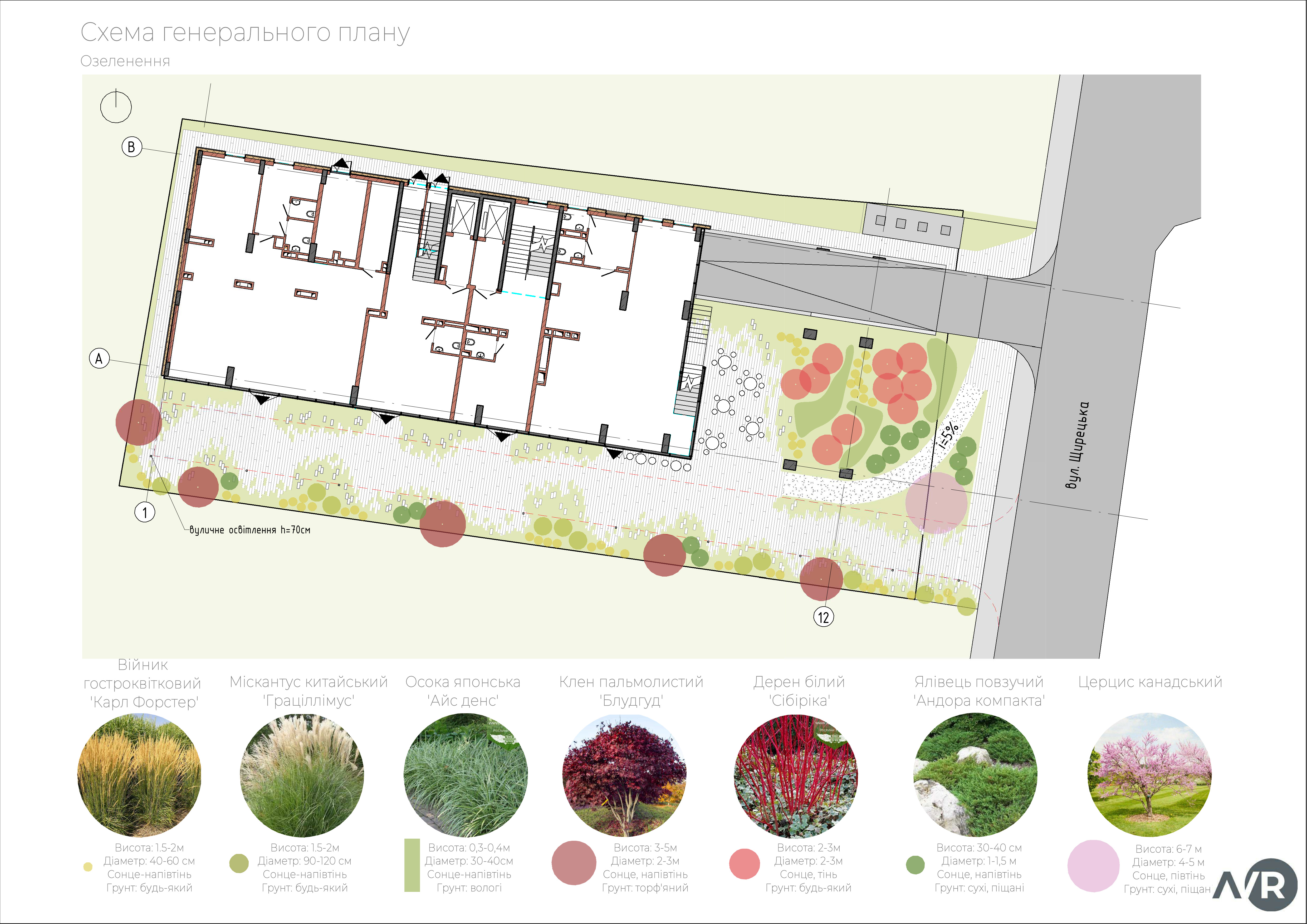 240126_SCHRTSK33_AVR_HP_Генеральний план_озеленення
